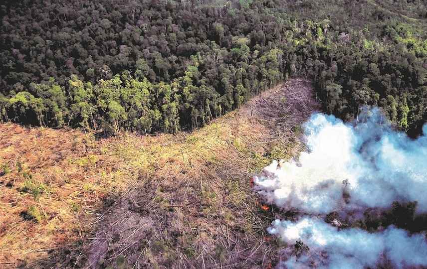 Bumi Makin Panas, Tindakan Kecil Masyarakat Jadi Harapan Besar untuk Lingkungan
